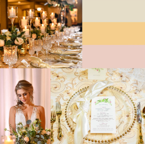 social gallery image