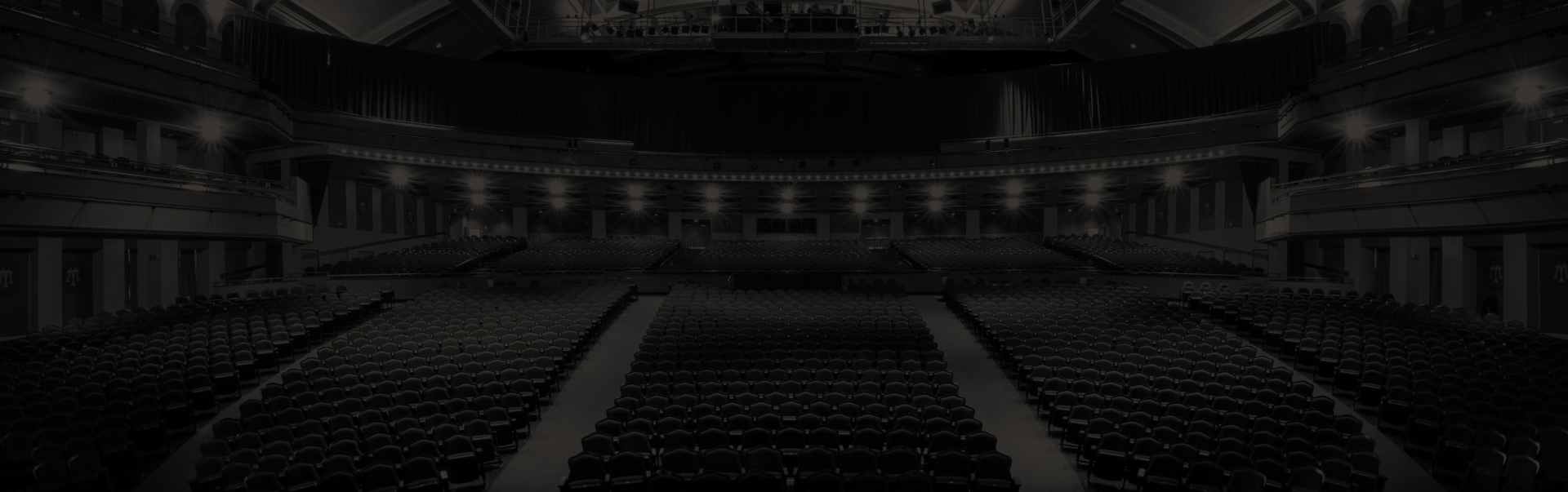 social gallery image